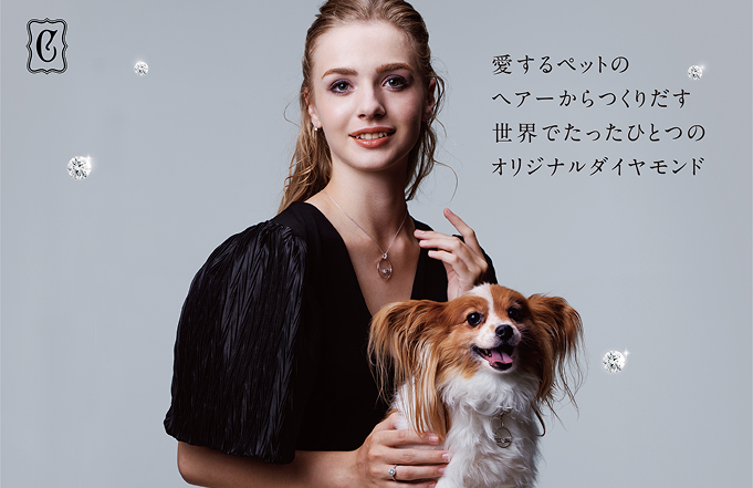 ギャラリー画像1