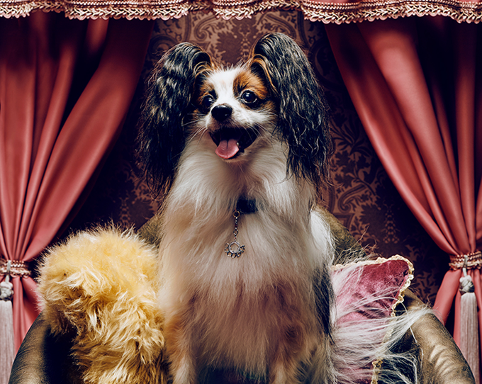 ギャラリー画像2